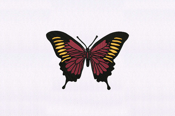 Red Orange Butterfly: A Designer’s Review